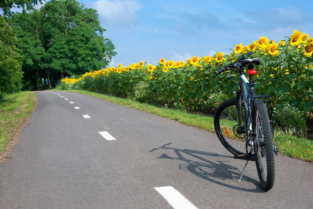 The eight best cycle routes in France
